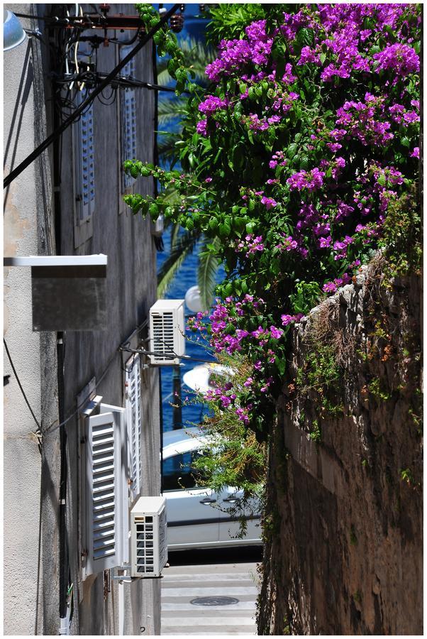 Guest House City Center كورتْشولا المظهر الخارجي الصورة